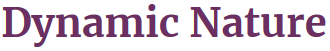 Dynamic Nature
